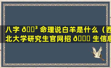 八字 🐳 命理说白羊是什么（西北大学研究生官网招 🐘 生信息网）